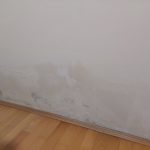 Čišćenje i uklanjanje plijesni sa stropa i zidova