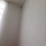 uklanjanje plijesni sa zida