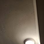 Uklanjanje plijesni sa zidova