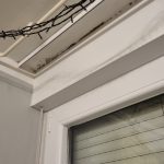 Uklanjanje plijesni sa zidova