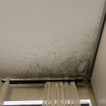 Čišćenje plijesni